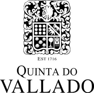 Logo Vallado Vectores